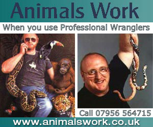Animal World Animals work
