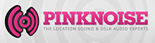 Pinknoise Systems Ltd Logo