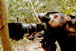 Colin Clarke Director of Photography - Documentary cameraman Logo