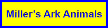 Miller's Ark Animals Logo