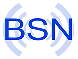 BSN Group Logo