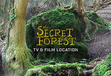 Secret Forest TV Movie Location Logo