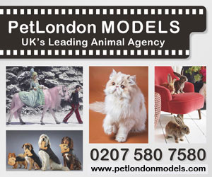 Animals Pet London (Animal Models for Film & Television)