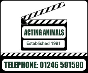 Acting Animals