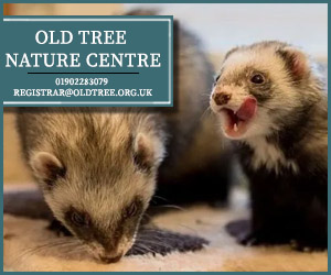 Old Tree Nature Centre