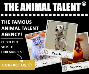 The Animal Talent Ltd