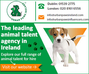 Urban Paws Ireland