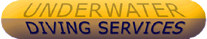 Underwater Diving Services Logo
