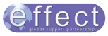 Effect Systems Limited Logo