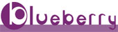 Blueberry Creative Consultants Logo