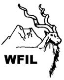 Wilderness Films India Ltd Logo