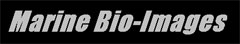 Marine-bio-images Logo