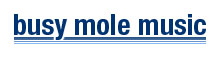 busy mole music Logo