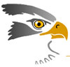 Goldhawk Media Logo